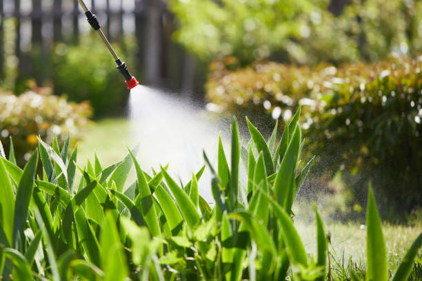 24/7 Emergency Ant Control experts in Hennessey, OK