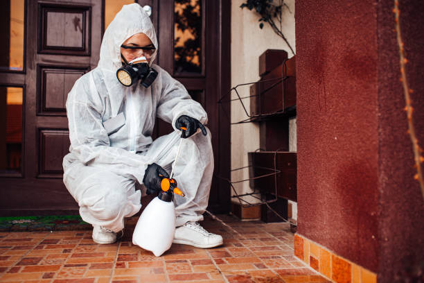 Reliable Ant Control contractor in Hennessey, OK by Nex Pest Control