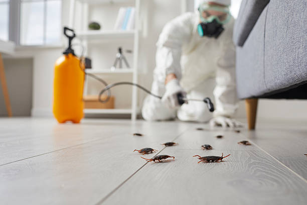 Trusted Cockroach Control service in Hennessey, OK - Nex Pest Control