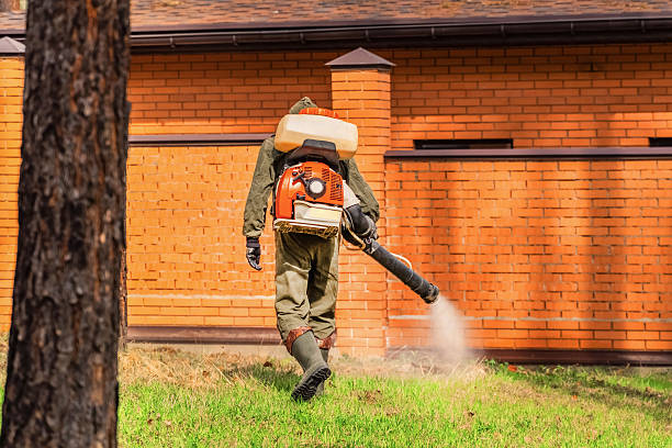 Trusted Ant Control service in Hennessey, OK - Nex Pest Control